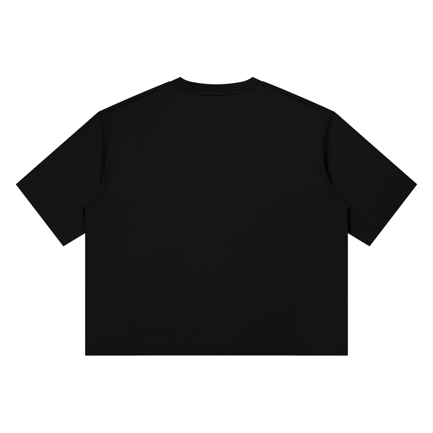 PRESCIENT World Boxy T-Shirt