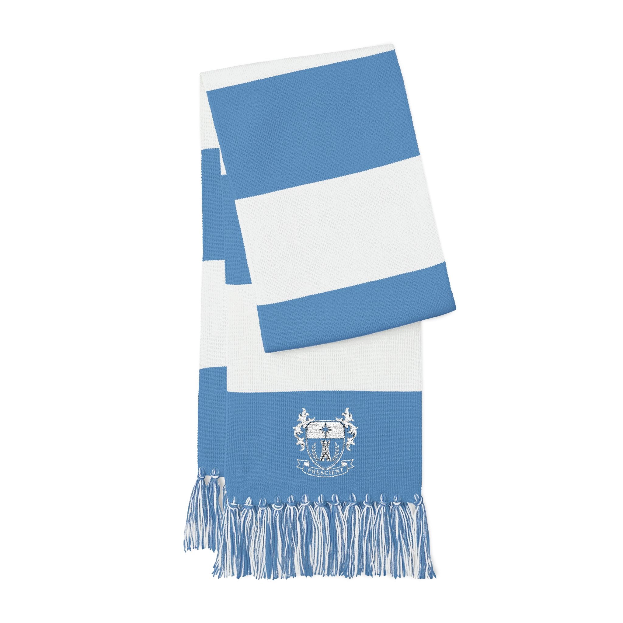 PRESCIENT Embroidered Scarf - BLUE