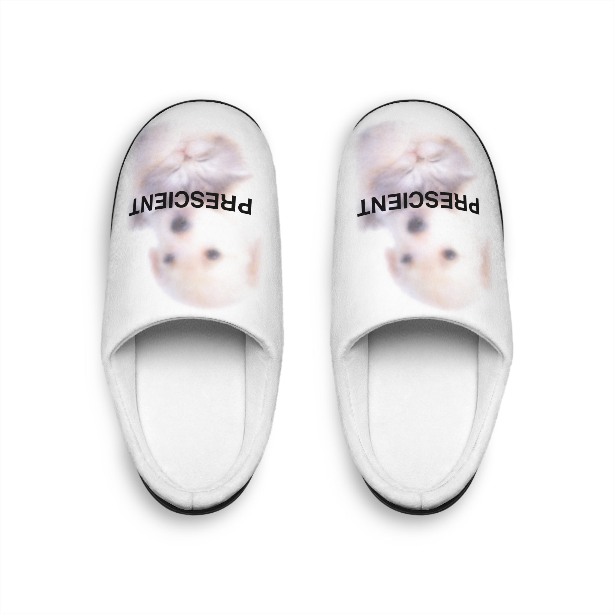 PRESCIENT Femme Indoor Slippers