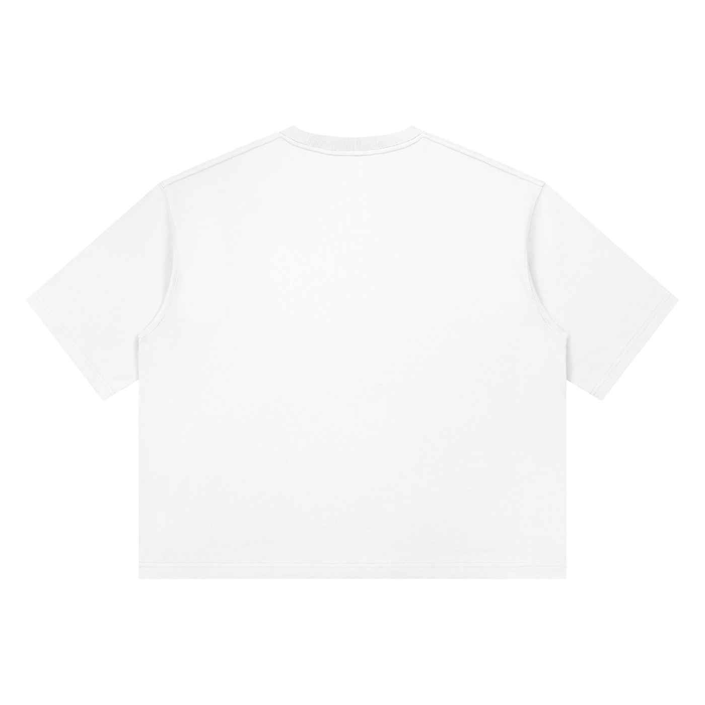 PRESCIENT World Boxy T-Shirt