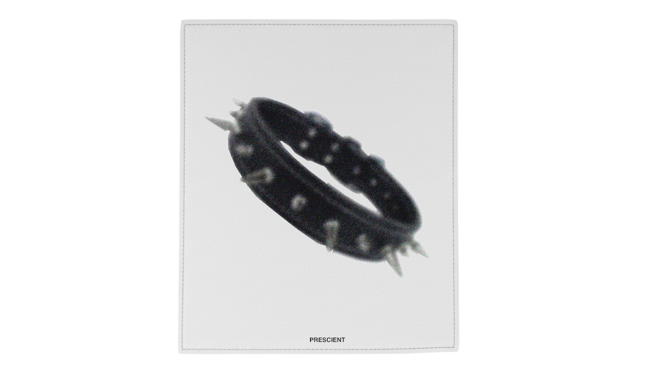 PRESCIENT SS26 ITALIAN LEATHER WHITE & BLACK TO-GO POUCH