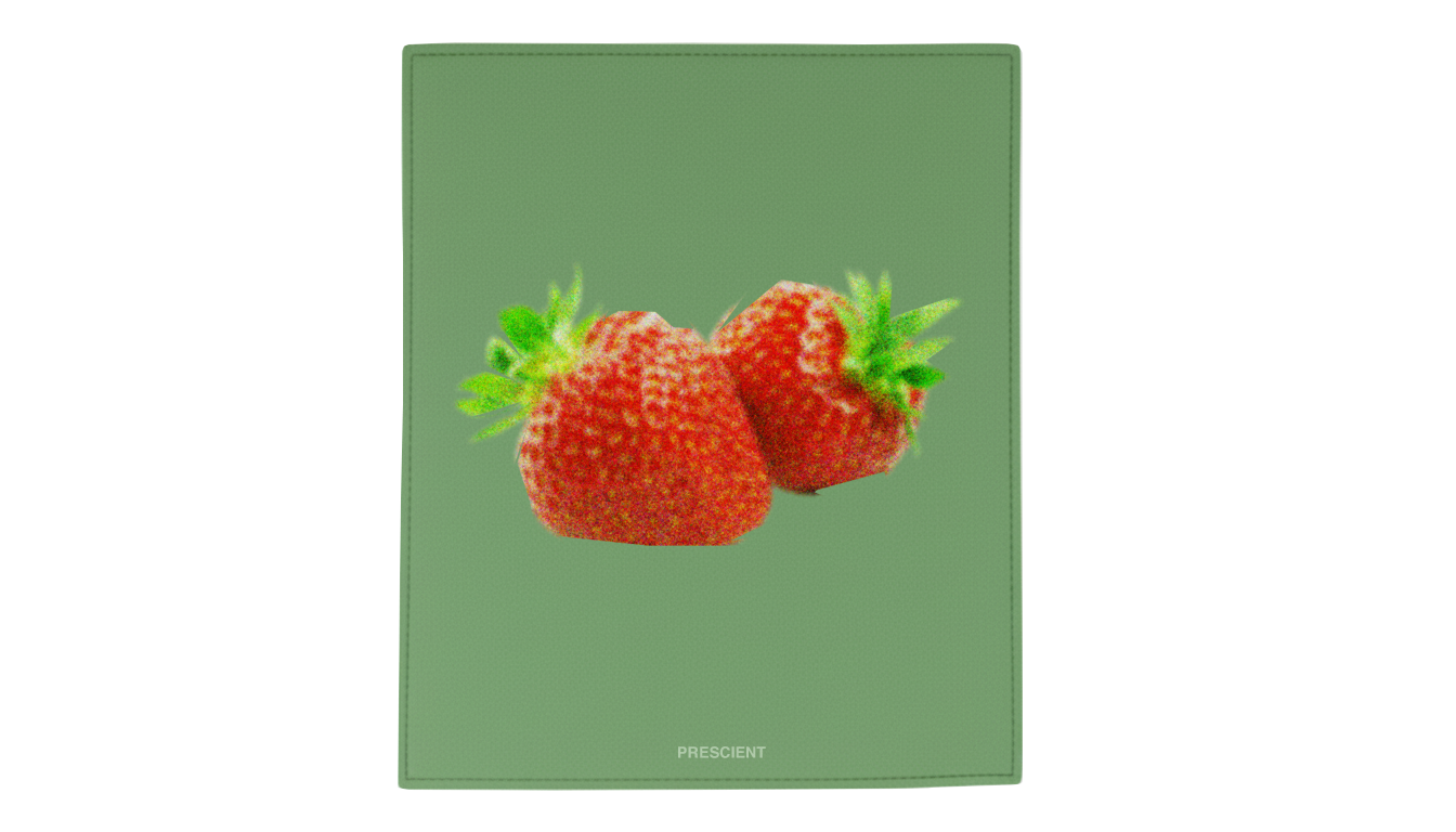 PRESCIENT SS26 ITALIAN LEATHER GREEN & RED TO-GO POUCH